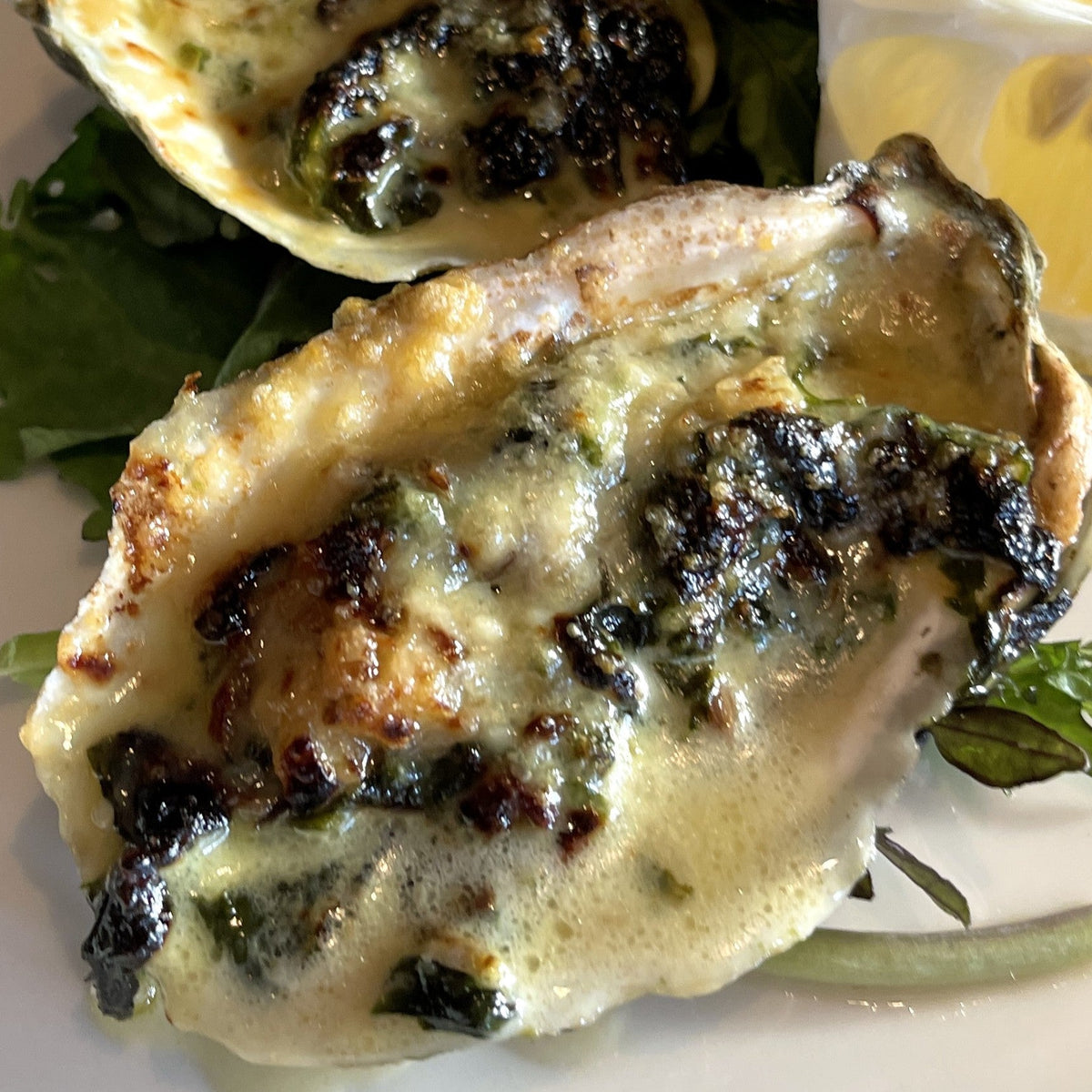 Apple Rockefeller Oysters Rockefeller Recipe | Mac's Seafood Recipes – Lobsters Online