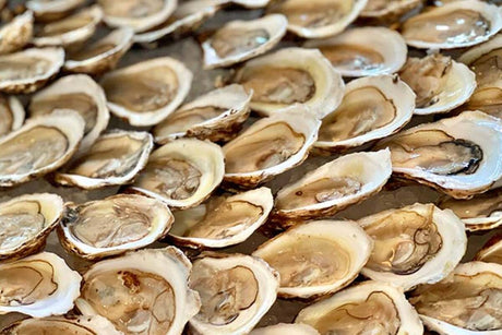 Our Favorite Oyster Appetizers