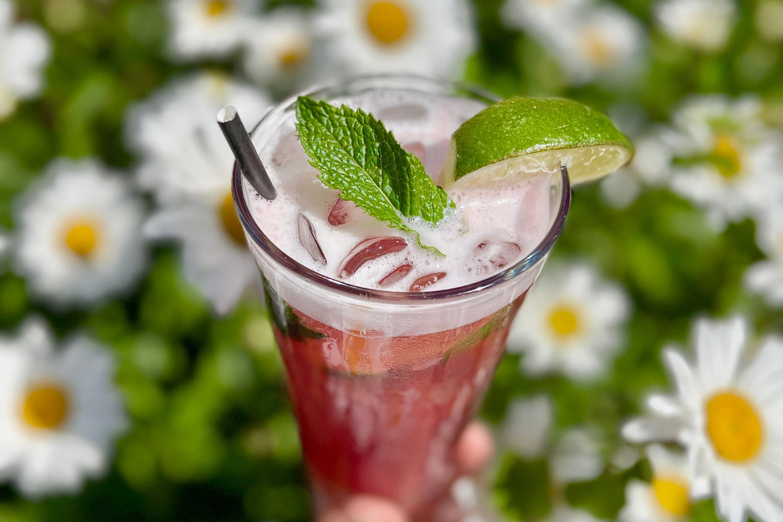 Our Top Picks for Oyster Beverage Pairings