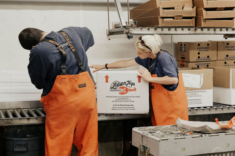 Shipping Live Lobster: Everything You Need to Know