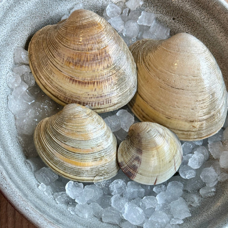 Clams