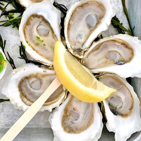 Shellfish