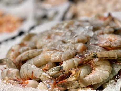 Shrimp