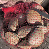 Local Littleneck Clams (100 Count)