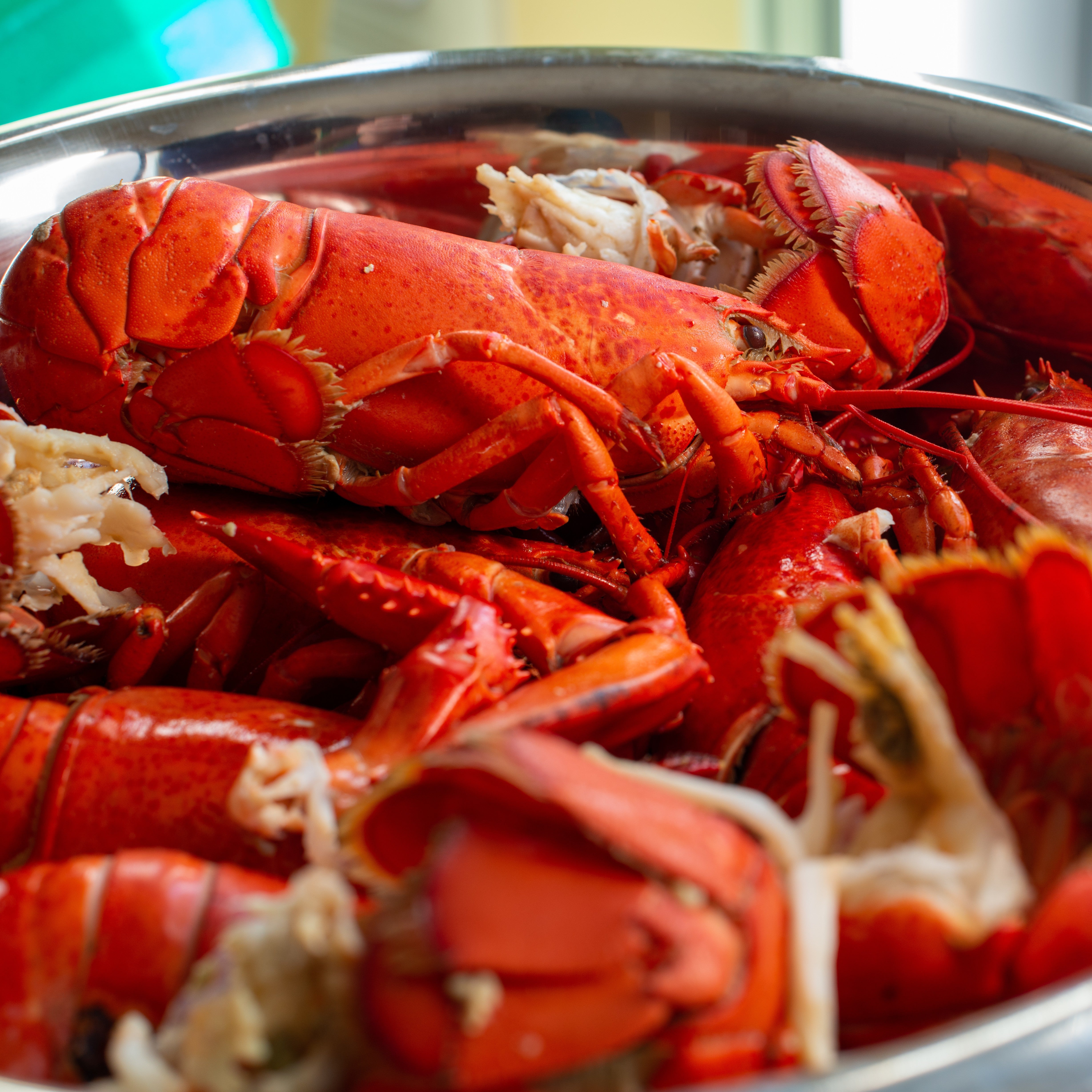 15 lb Boat Run Lobster Box – Live Lobsters Delivery – Lobsters Online