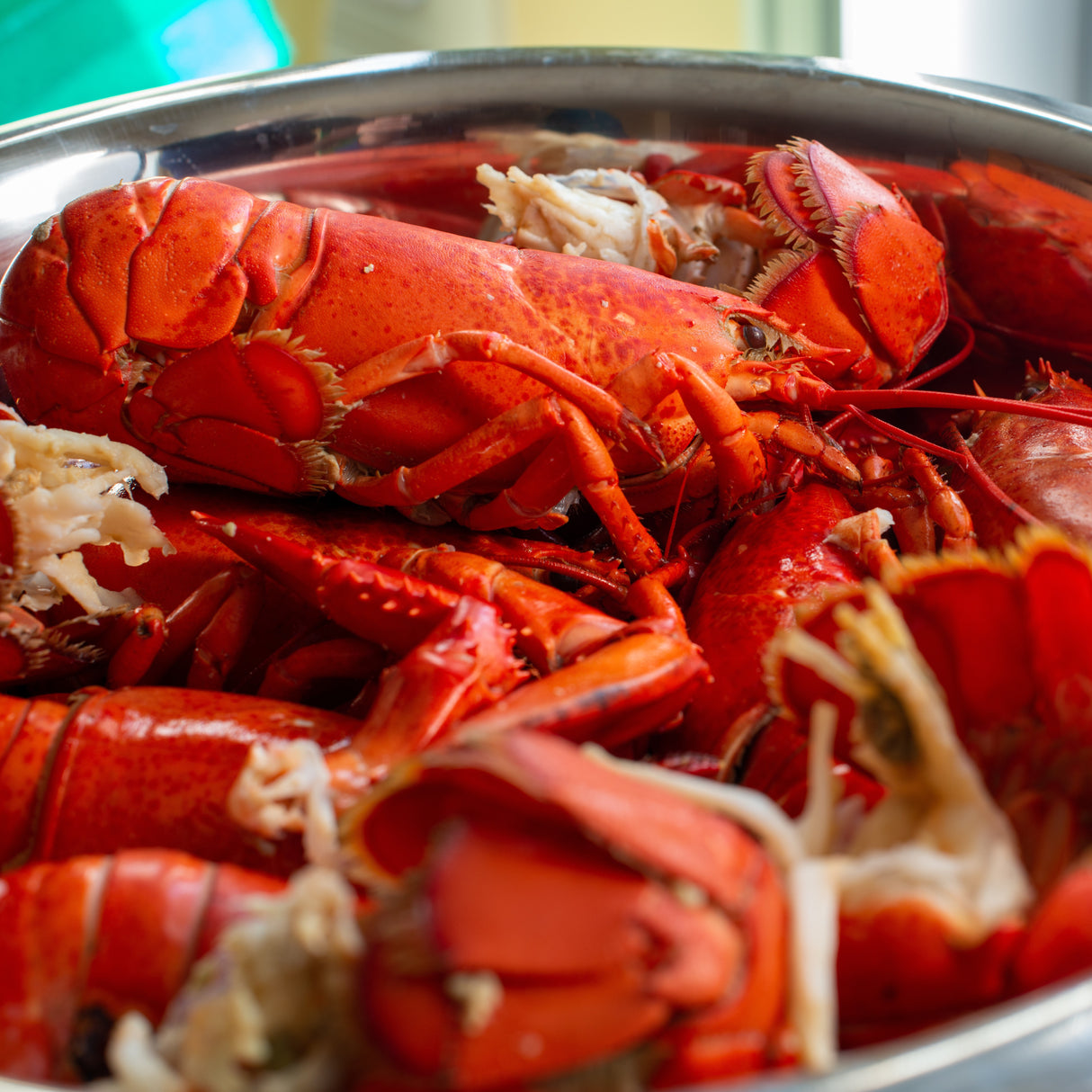 Boat Run Lobster Box (15 lb)