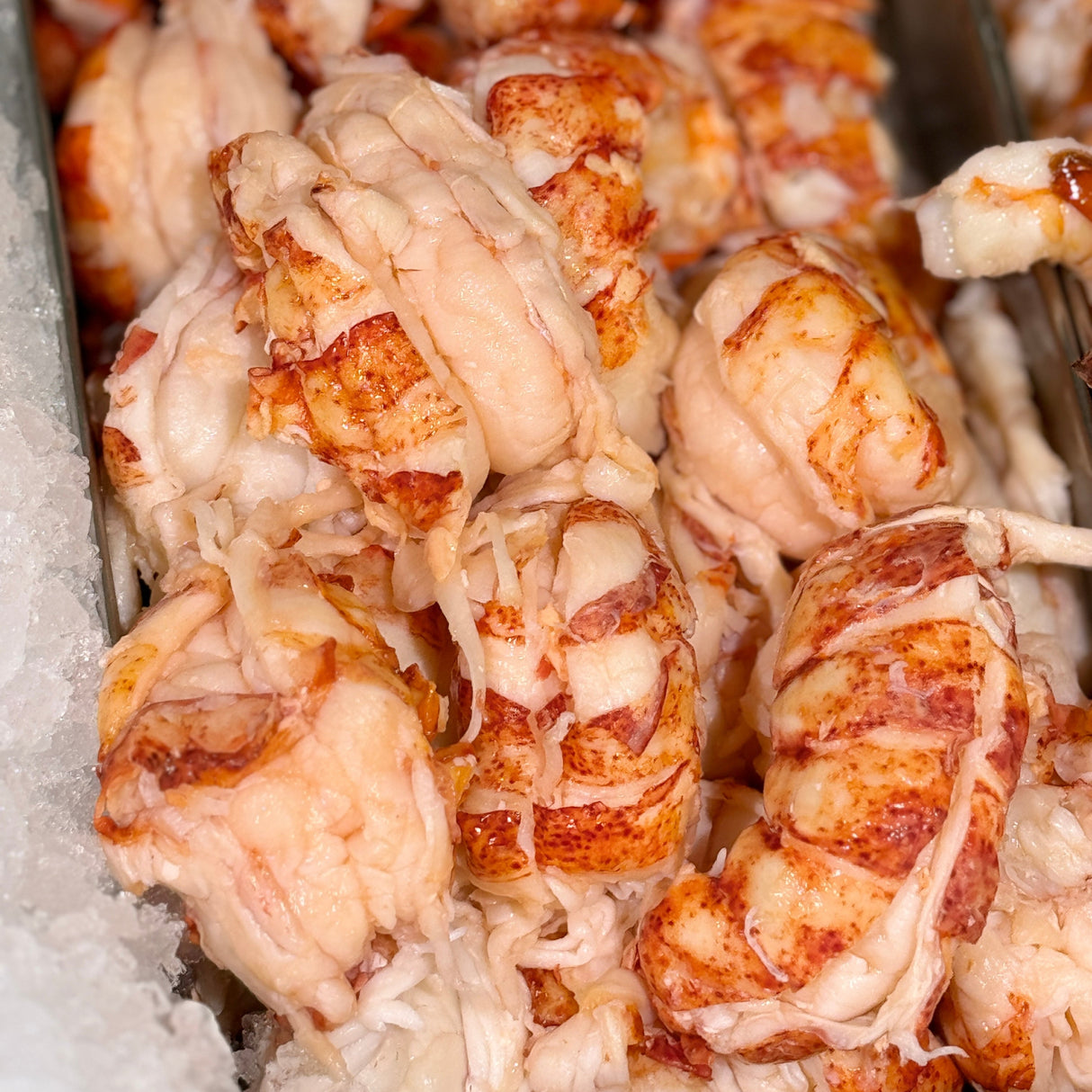 2 lb Luscious Lobster Meat (Frozen)