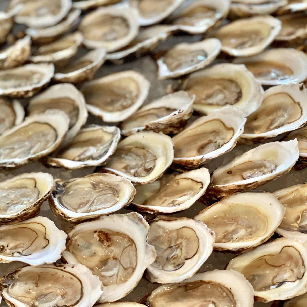 Lobster Dinner (Serves 6)