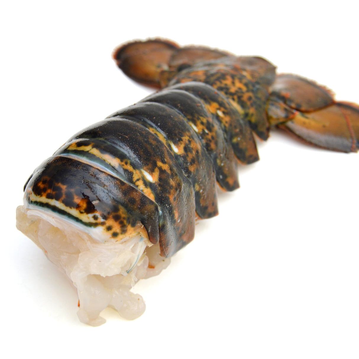 Extra Jumbo Lobster Tail (1, 12–14 oz)