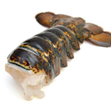 Extra Jumbo Lobster Tail (1, 12–14 oz)
