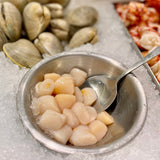 Cape Cod Bay Scallops