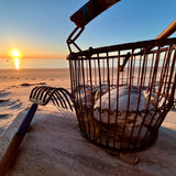 Local Littleneck Clams (12 Count)