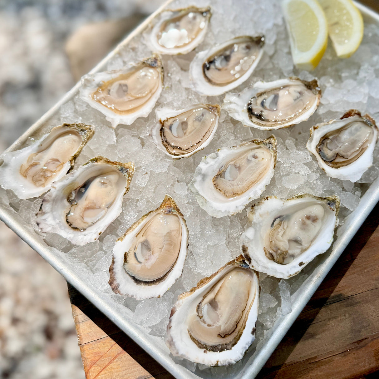 Cape Cod Oysters (12 Count)