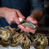 Cape Cod Oysters (12 Count)