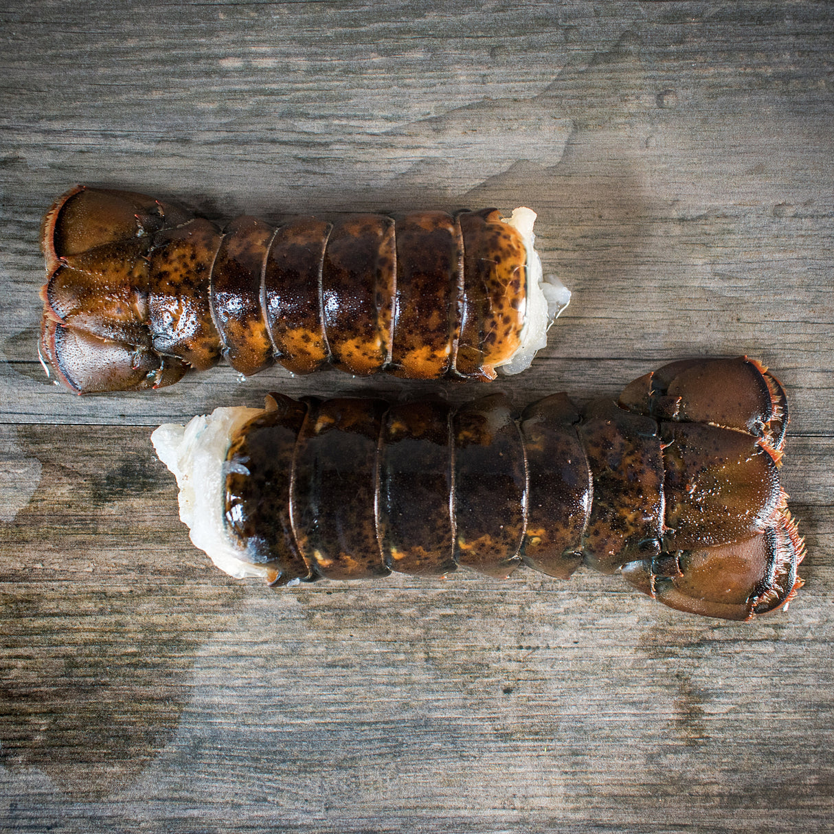 Large Lobster Tail (1, 6–7 oz)