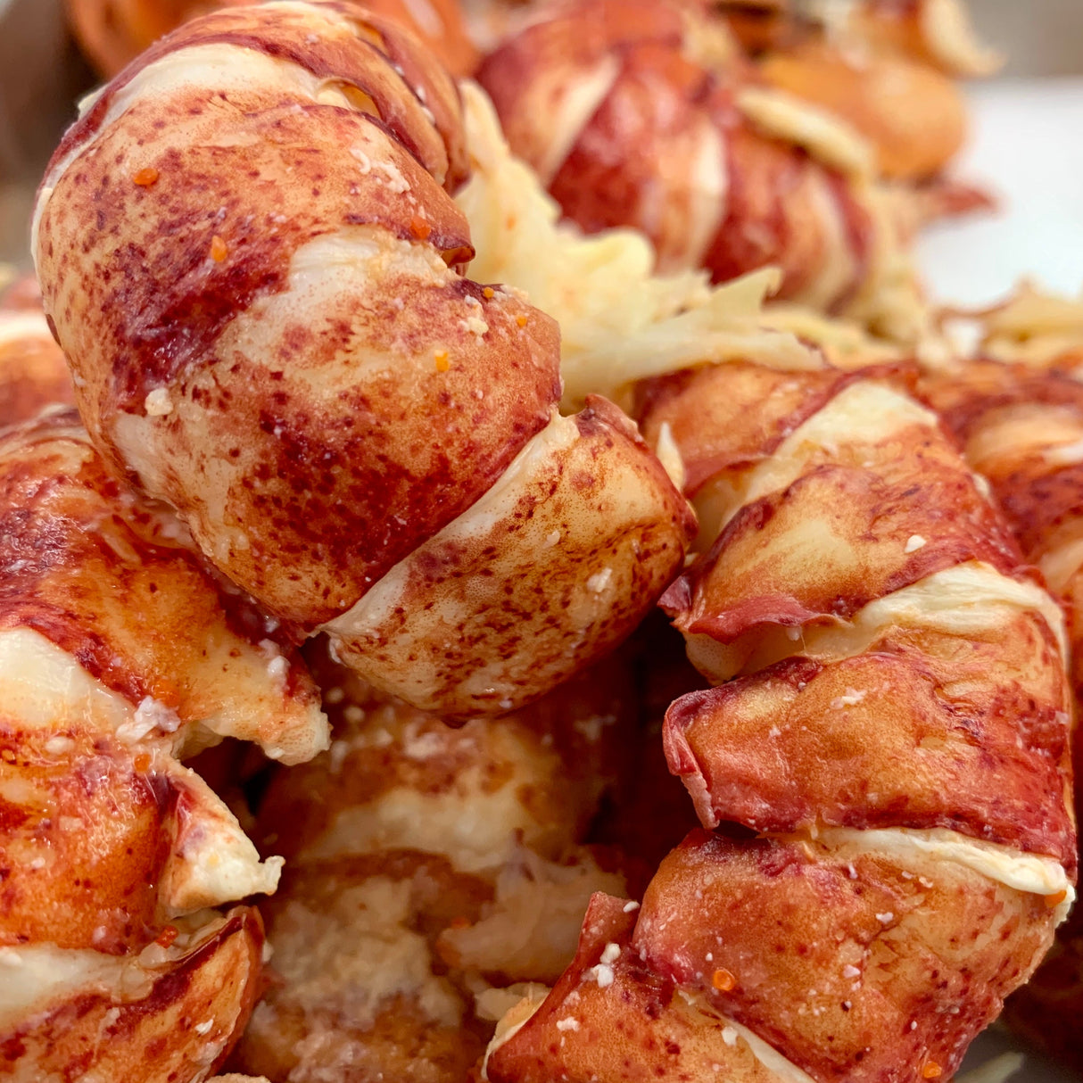 Large Lobster Tail (1, 6–7 oz)