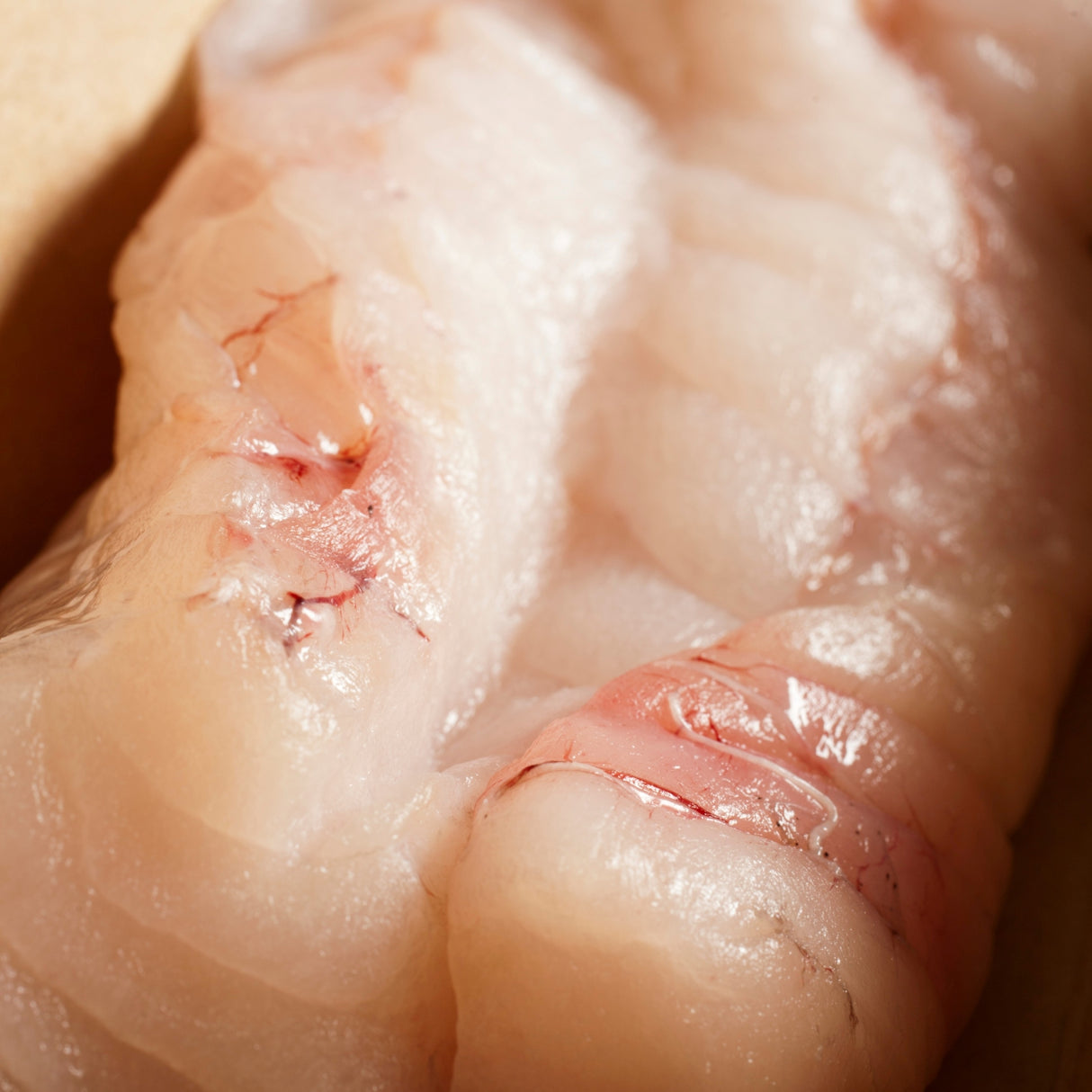 1 lb Monkfish
