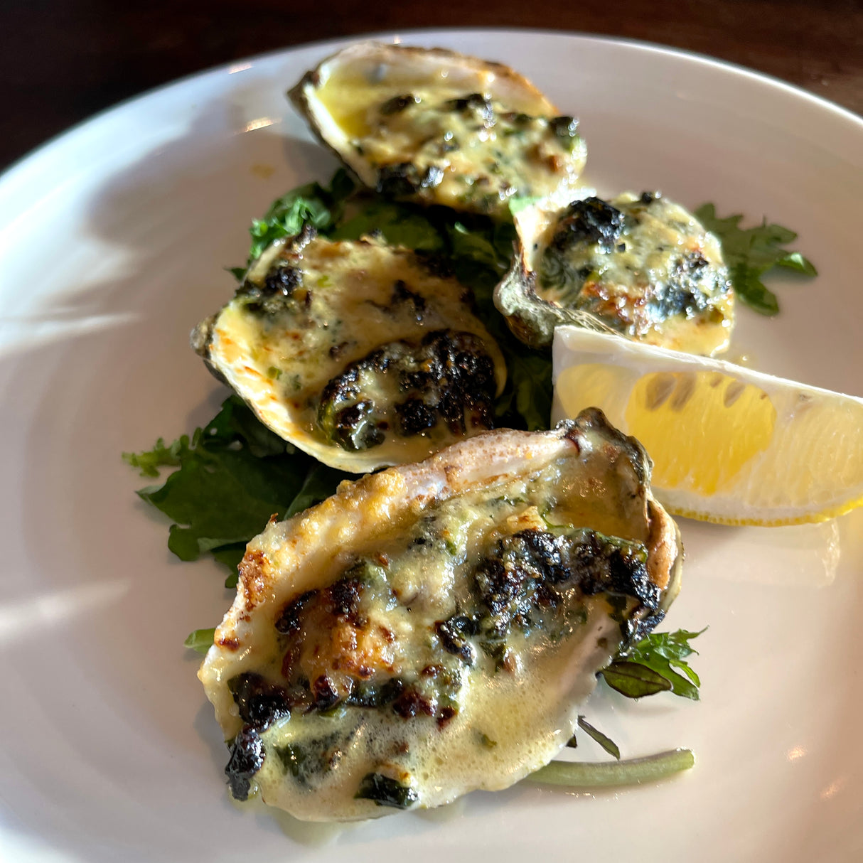 Cape Cod Oysters (36 Count)