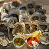 Cape Cod Oysters (36 Count)