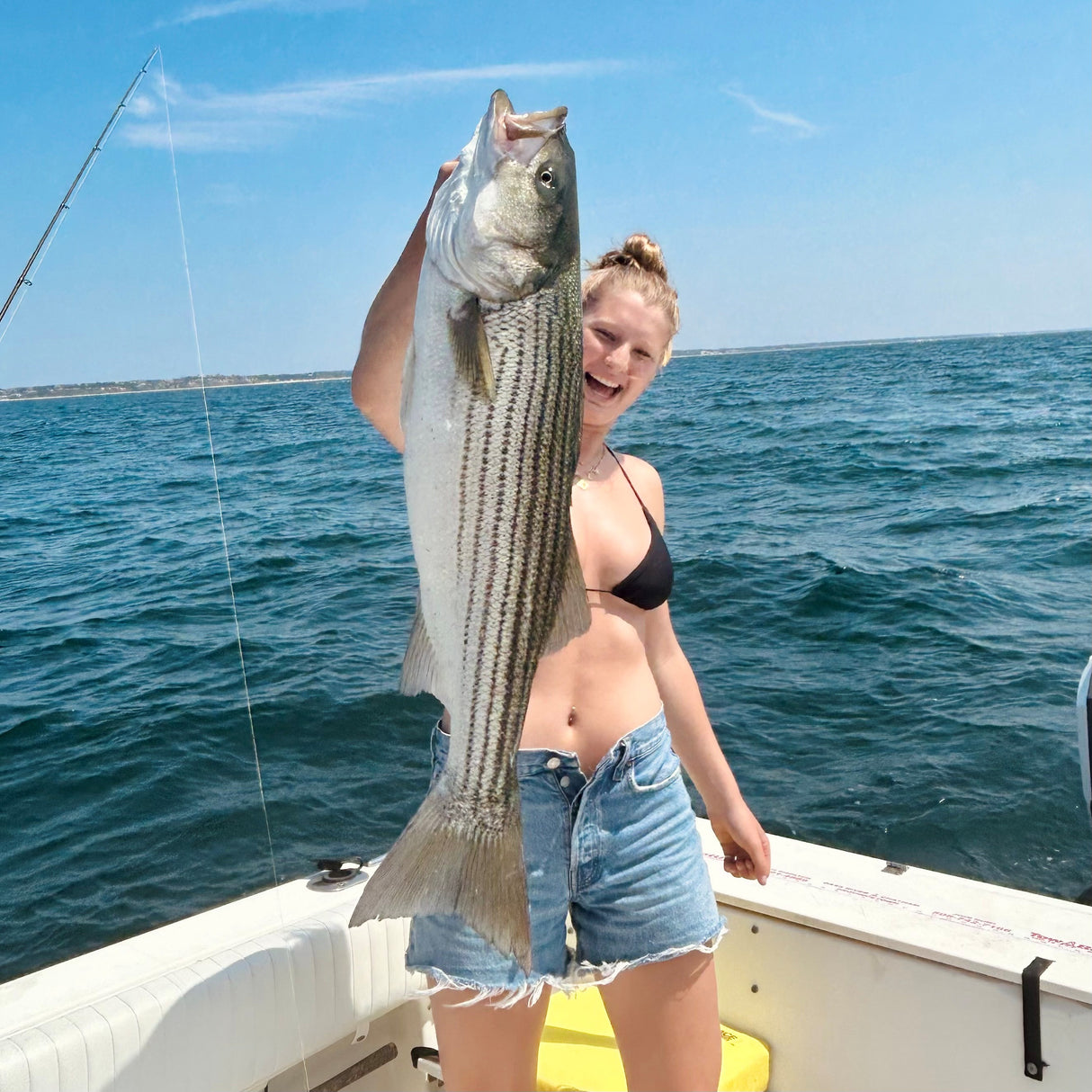 1 lb Local Striped Sea Bass