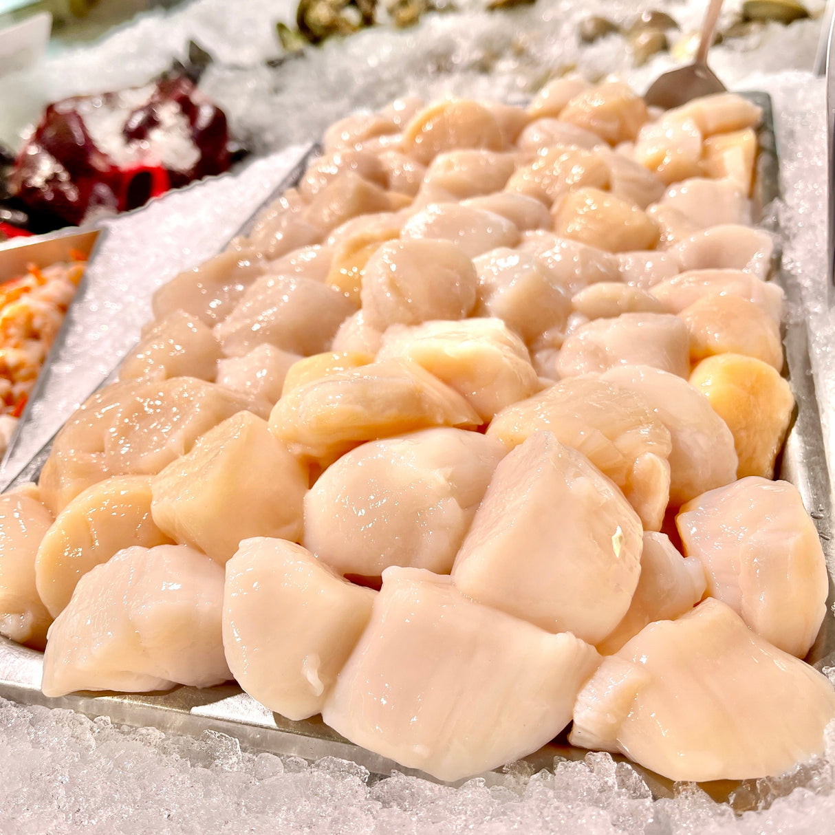 2 lb Shucked Local Sea Scallops