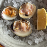 Local Littleneck Clams (36 Count)