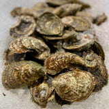 Cape Cod Oysters (36 Count)