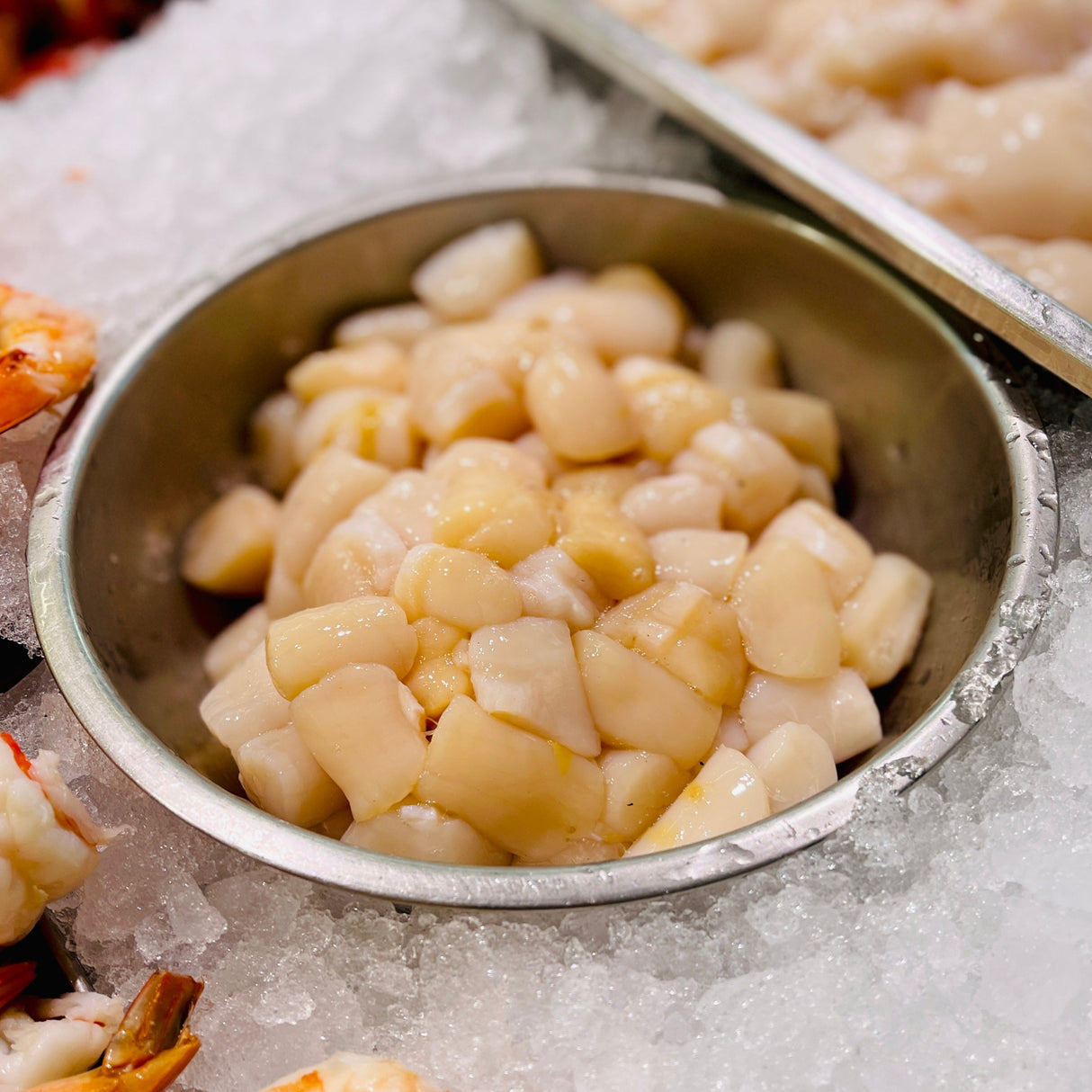 Cape Cod Bay Scallops
