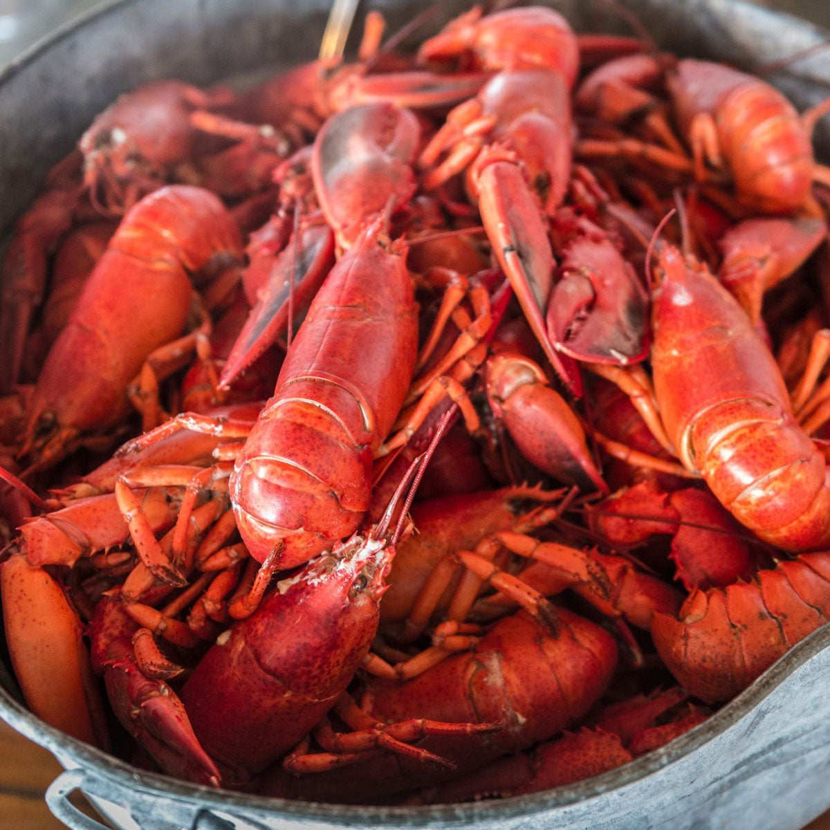 Boat Run Lobster Box (30 lb)