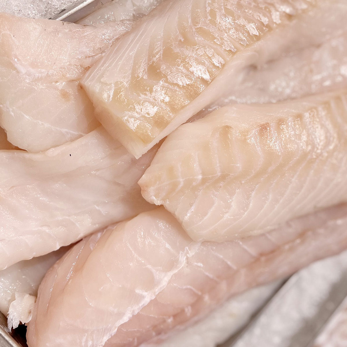 1 lb Cod Loins