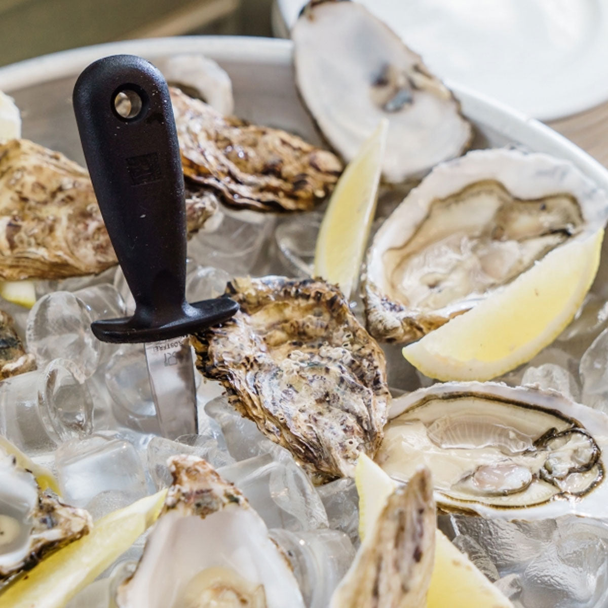 Oyster Knife