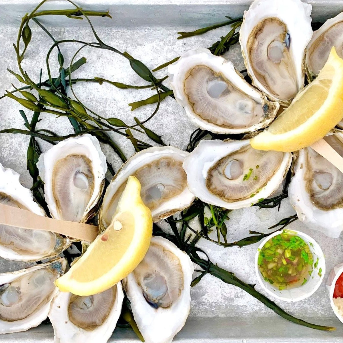 Cape Cod Oysters (12 Count)