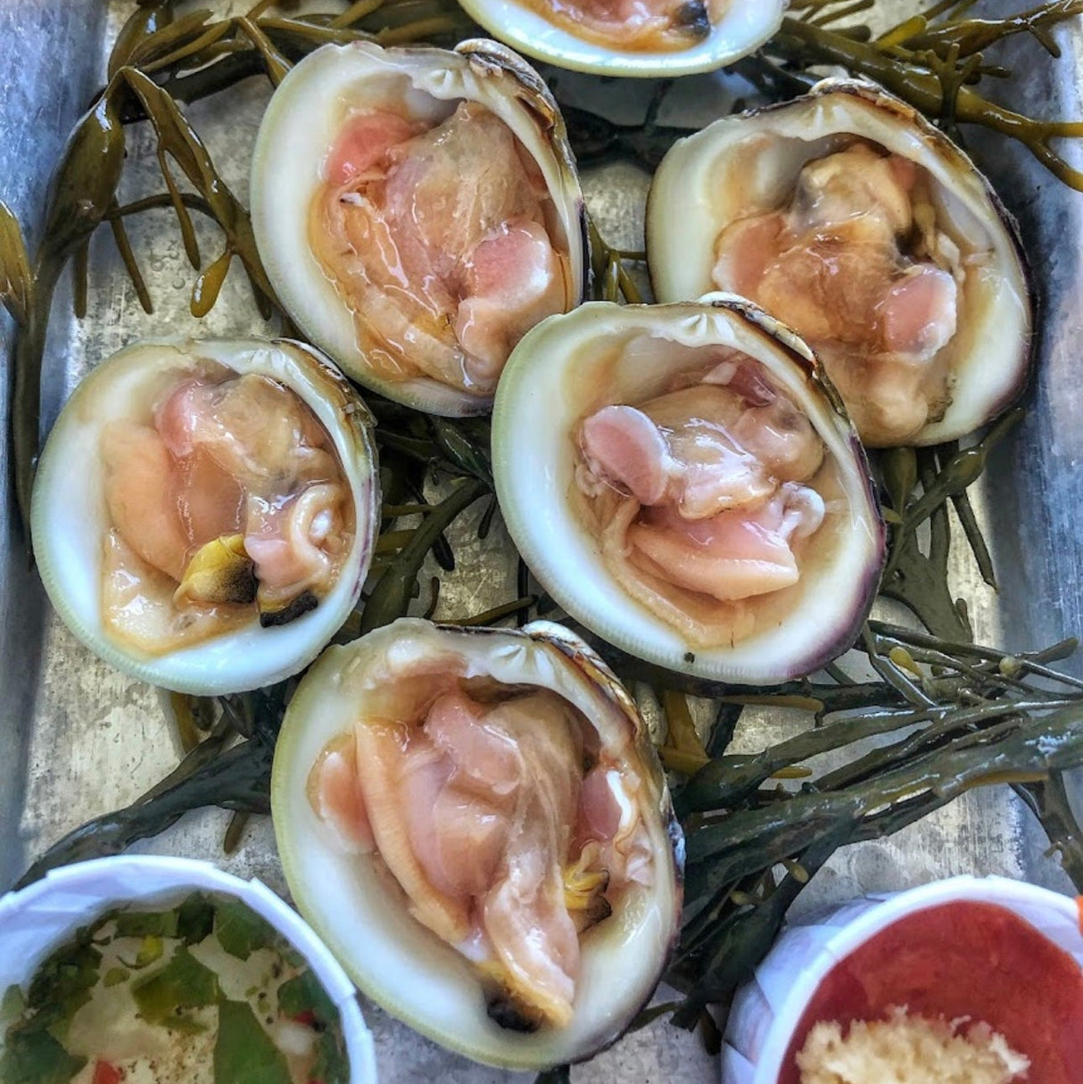 Local Littleneck Clams (12 Count)