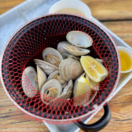 Local Littleneck Clams (12 Count)