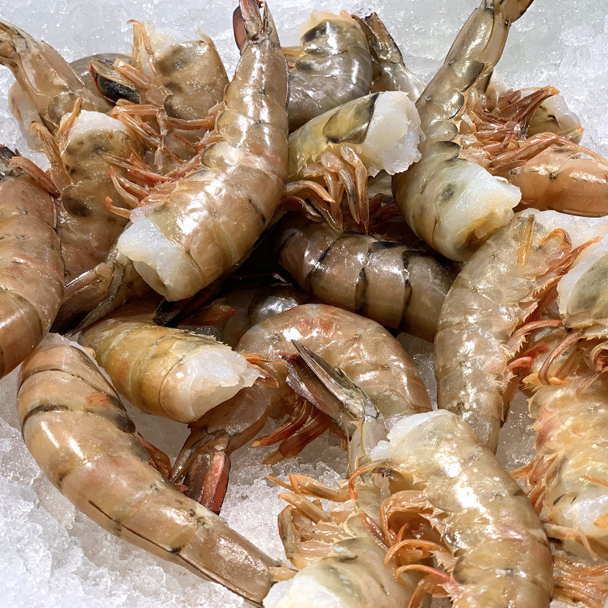 Frozen Wild Shrimp (2 lb)