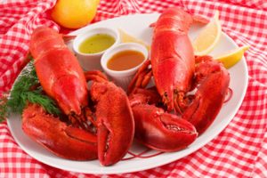 Two pound steamed Maine lobsters on a plate