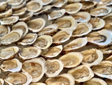 Three Dozen Wellfleet Oysters (36)