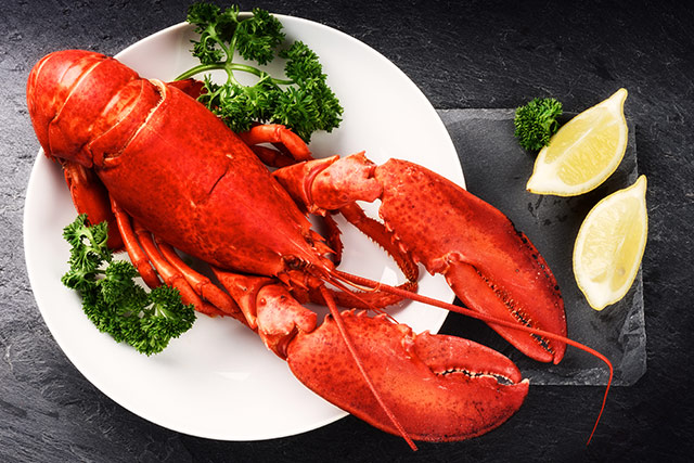 4 lb - 6 lb North Atlantic Live Maine Lobsters for Sale Online