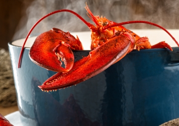 Lobster Pot - 16 qt. Porcelain Steel