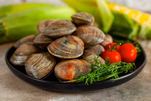 Clams