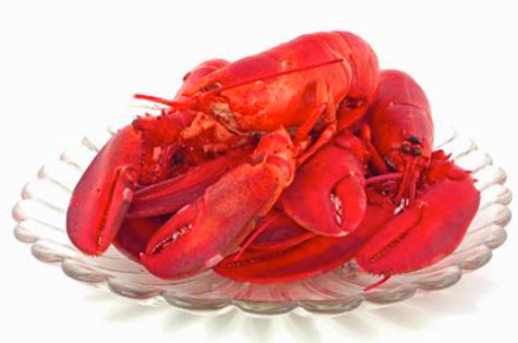 cooking lobsters