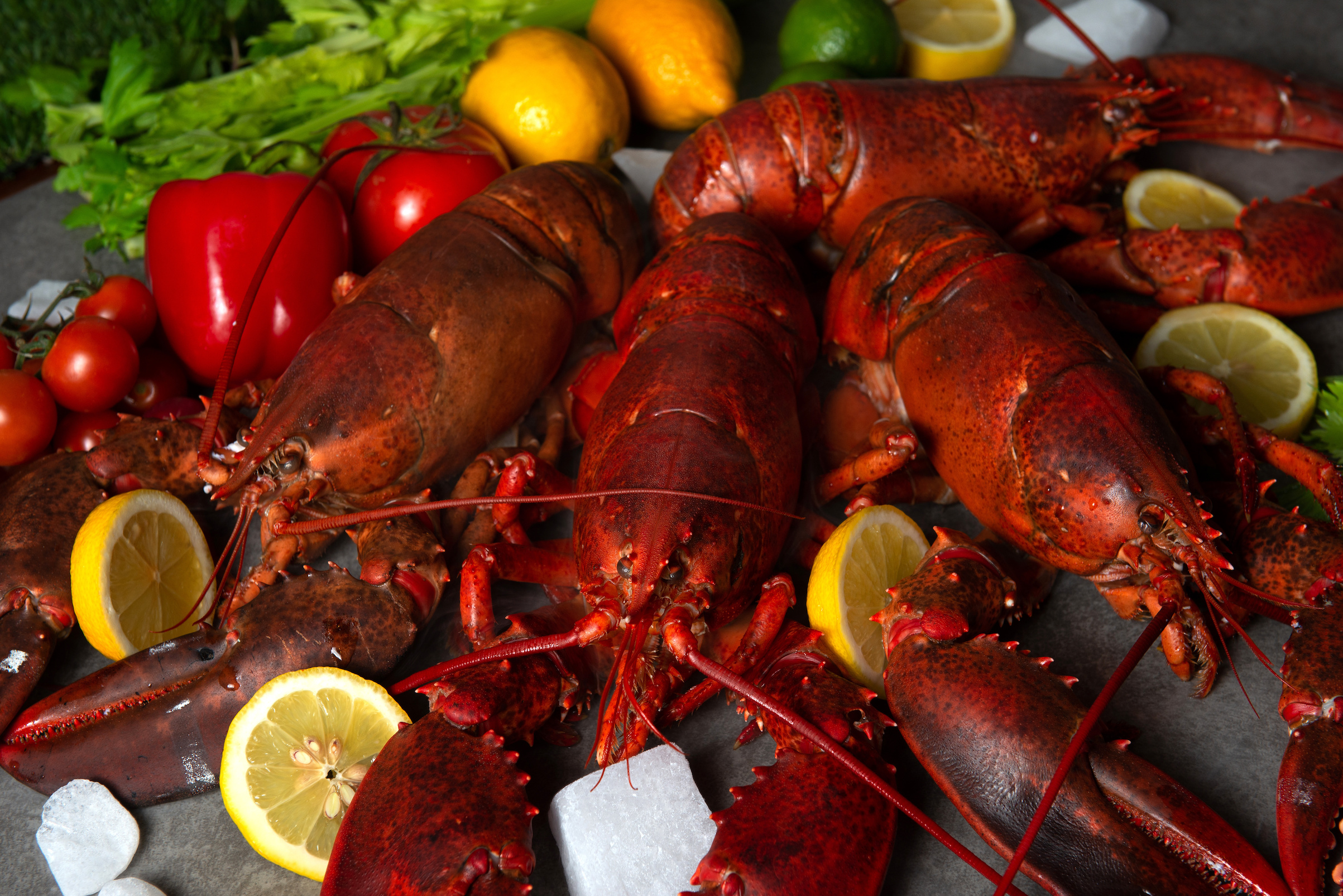 Lobsters Online Owned & Operated by the Lobster Trap Co, Inc. Dinner