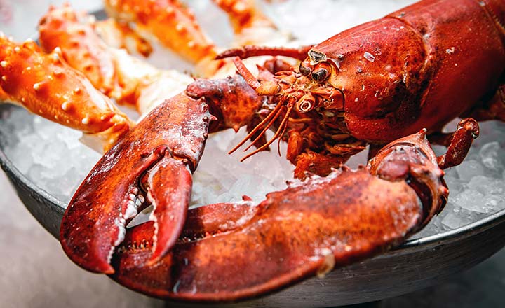 whole live lobster for fancy dinner