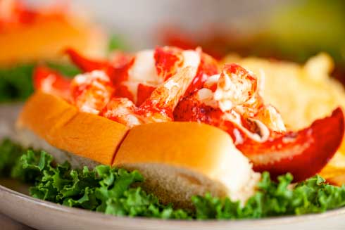 Lobster Meat