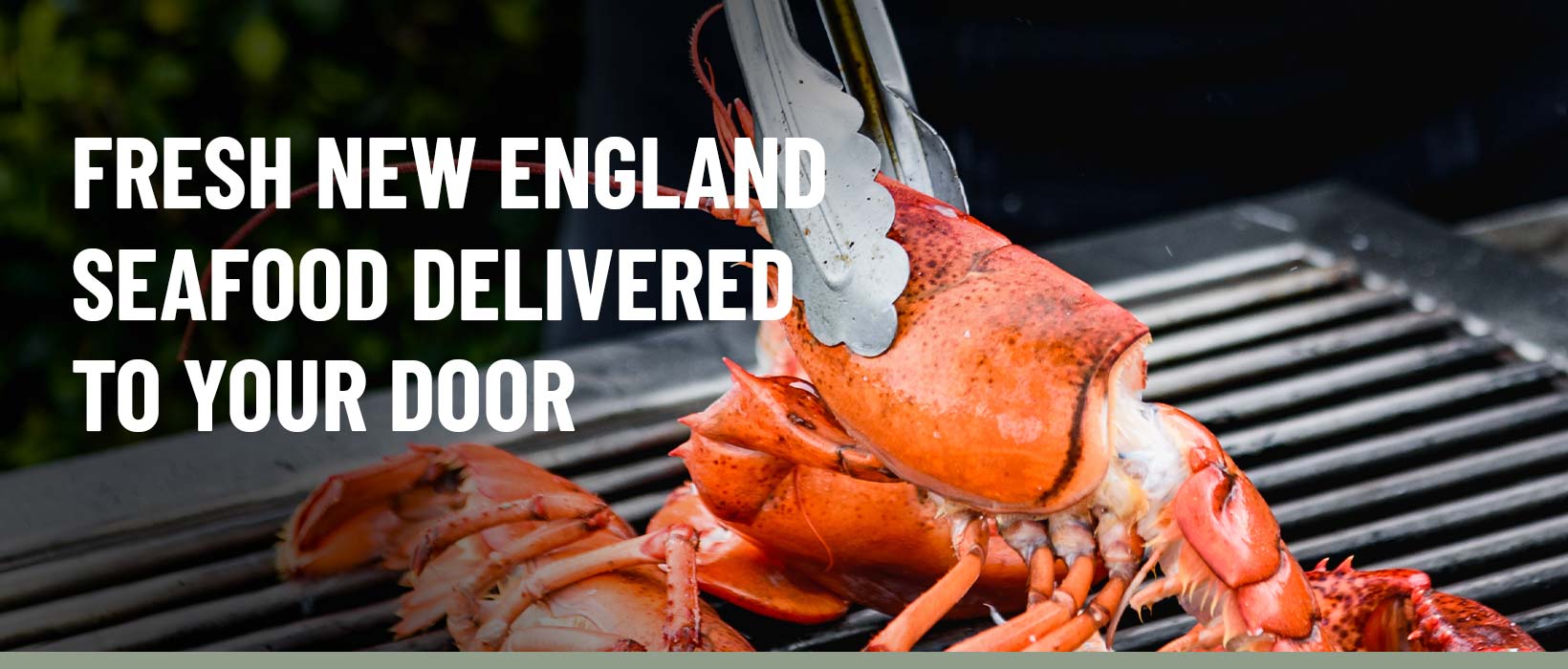 Lobsters Online - Fresh, Live Lobsters Shipped Daily