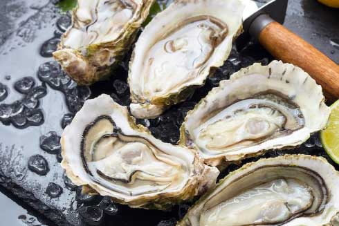 Oysters