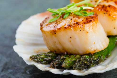 Scallops