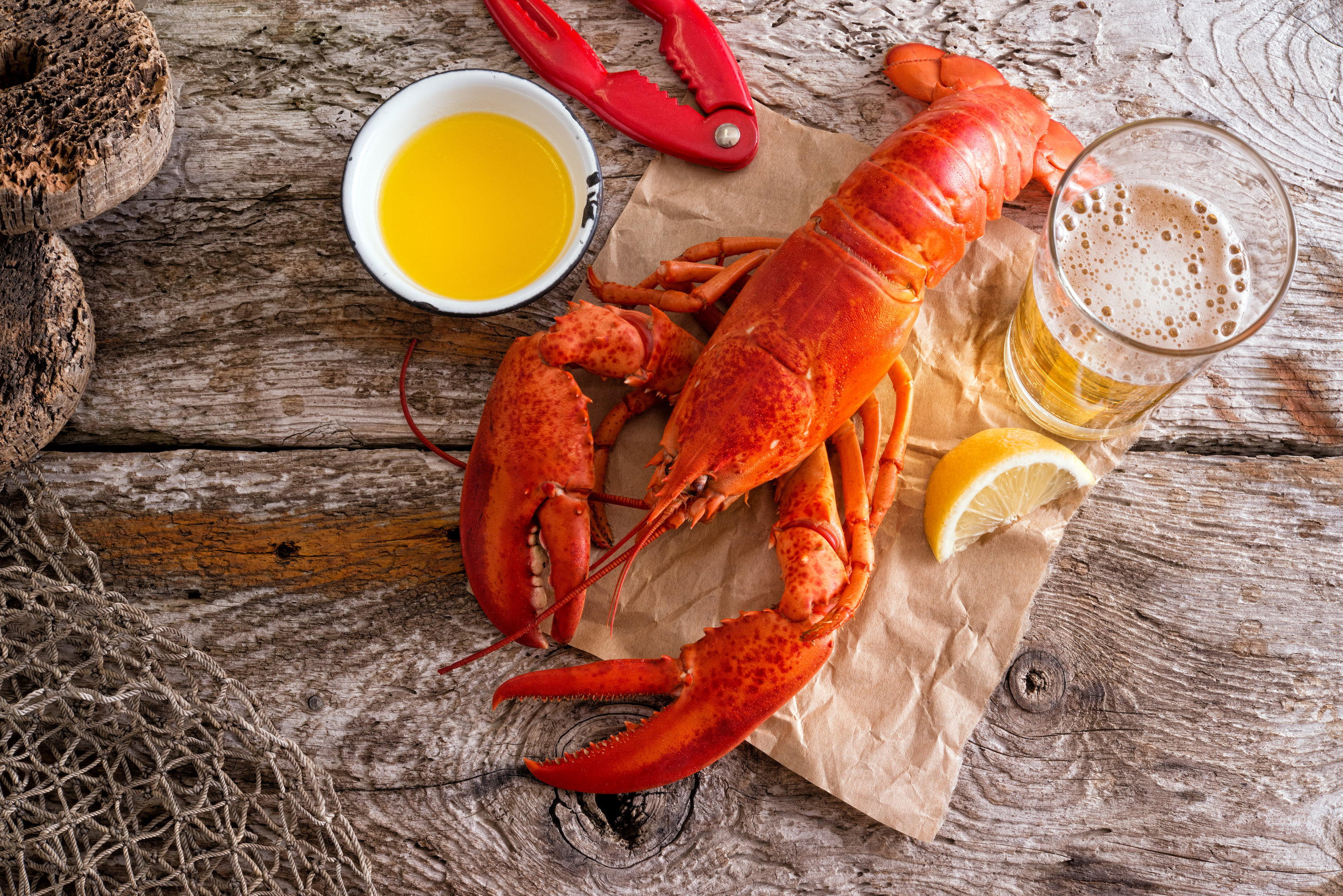 Order 1 lb. Fresh Live Maine Lobster | Lobsters Online: Owned