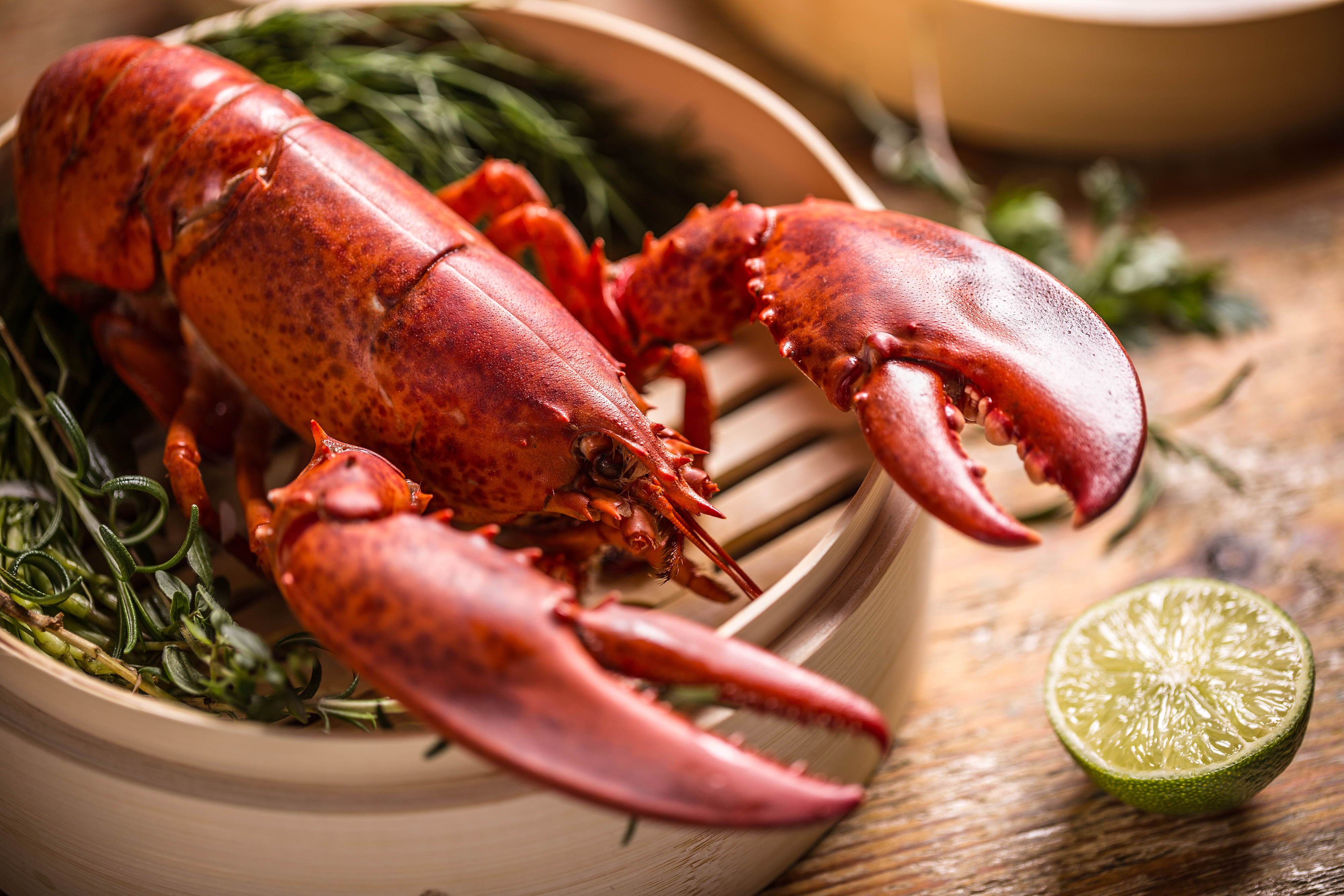 1.25 lbs. Fresh Live Maine Lobster | Lobster Trap: Live Lobster Online