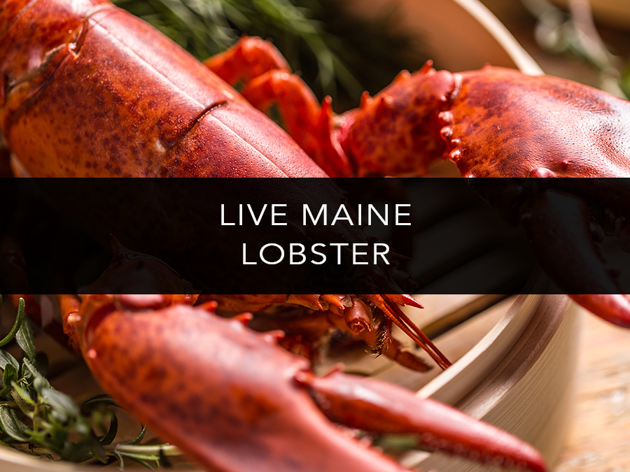 Lobsters Online Owned & Operated by the Lobster Trap Co, Inc.
